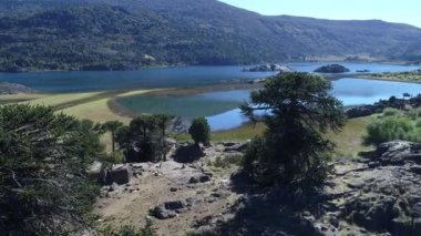 Pulmari Gölü kayalar, rock Island, ağaçlar, araucarias, bozkır ile hava dron sahne. Kıyıdan göle ilerlemeye kamera..