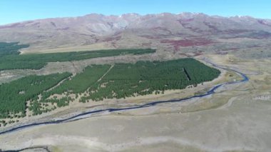 Estepa ve Nahueve Nehri Kuzey neuquen, Patagonya Arjantin hava dron sahne. Kamera hareketli güneşli günde iletir. ağaçlandırma, çam ekimi ticari tahta için.