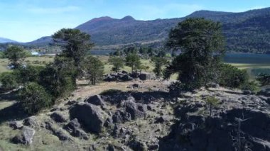 Araucarias, dağlar ve bozkır, rock yatay hava dron sahne. Pulmari Gölü, Neuquen, Patagonia, Arjantin için ileri hareketli kamera.