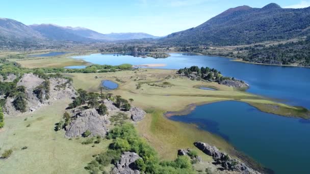 Escena Aérea Drones Rocas Árboles Araucarias Montañas Estepa Lago Pulmari — Vídeos de Stock