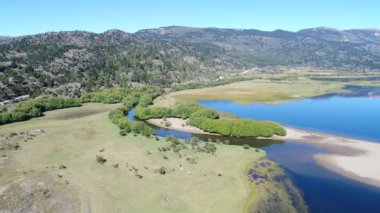 Pulmari Gölü rock Island, ağaçlar, araucarias, bozkır ve mavi gökyüzü hava dron sahne. Nehir kamera hareketli ileriye atmak.