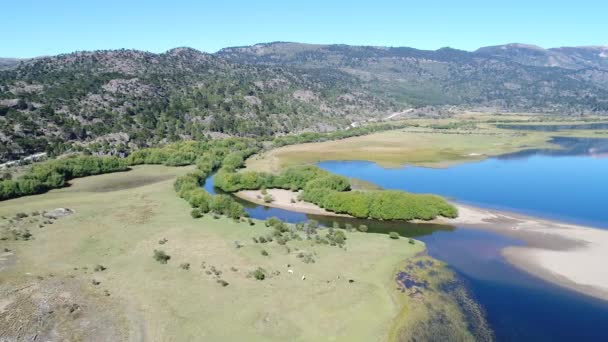 Pulmari 湖的空中无人机场面与岩石海岛 Araucarias 草原和蓝天 照相机移动批转投掷河 — 图库视频影像