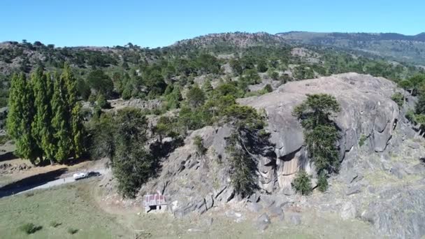 Scène Aérienne Drone Paysage Rocheux Avec Araucarias Montagnes Steppe Caméra — Video