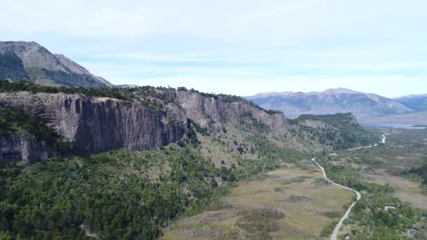 Cena Drone Aéreo Uma Parede Rocha Com Araucárias Montanhas Estepe — Vídeo de Stock