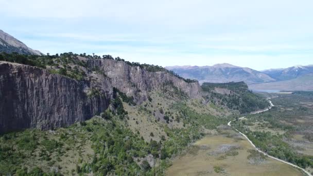 Escena Aérea Muro Rocoso Con Araucarias Montañas Estepa Río Que — Vídeos de Stock