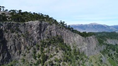 Ağaçlar, araucarias ve dağlar, Neuquen, Patagonia, Arjantin Pulmari Gölü yakınındaki bir taş duvar hava dron sahne. Sonbahar güneşli bir günde içinde ileri hareketli kamera.