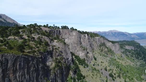 Antenowe Drone Sceny Ściany Skalne Drzew Araucarias Górami Pobliżu Jeziora — Wideo stockowe