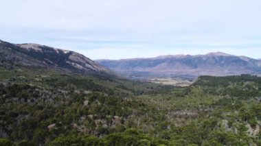 Kurtlar Vadisi hava drone sahneden ağaçlar, araucarias Neuquen, Patagonia, Arjantin Pulmari Gölü yakınındaki bir taş duvar atmak. Geriye doğru bulutlu bir günde hareketli kamera