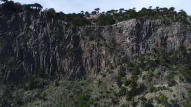Ağaçlar, araucarias ve dağların arkasında, Neuquen, Patagonia, Arjantin Pulmari Gölü yakınındaki bir taş duvar hava dron sahne. Sonbahar güneşli bir günde solda hareketli kamera.