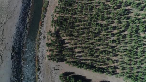 Drone Aereo Scena Steppa Nahueve Fiume Neuquen Nord Patagonia Argentina — Video Stock