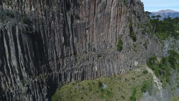 Letecká Drone Scéně Skalní Stěny Stromy Araucarias Nahoře Horami Pozadí — Stock video
