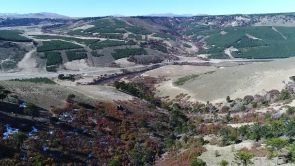 Letecká Drone Scéně Řeky Litran Araucarian Lesy Podzim Villa Pehuenia — Stock video