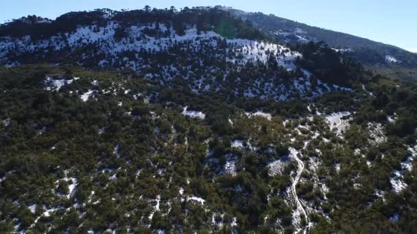 氧化铝湖的空中无人机场景 Pehuenia Moquehue 内乌肯省 巴塔哥尼亚阿根廷 照相机向前移动 穿过街道向山顶与 Aracaria Araucana — 图库视频影像