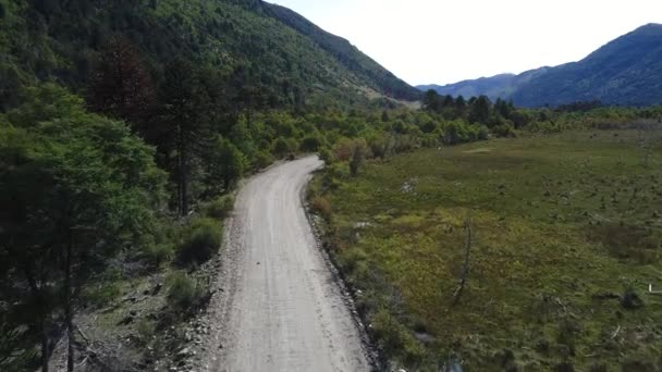 Drone Scène aérienne d'une vallée avec un chemin de terre par une journée ensoleillée à l'automne et la steppe avec des arbres verts et des montagnes. Caméra en marche avant. Neuqun, Patagonie, Argentine 