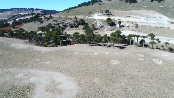 Litran 계곡에서 캠핑카의 비행기 카메라 원거리 자갈도로 Pehuenia Moquehue 아르헨티나 — 비디오