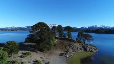 Bir yarım ada Villa Pehuenia, Moquehue, Neuquen, Patagonya Arjantin araucaria ağaçlarda dolu hava dron sahne. Bazı adalar Alumine göle doğru ilerlemeye kamera.