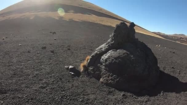 Stabilizovaný fotoaparát hnutí pomalu čerpané bomba sopečné horniny v La Payunia, v Malarge. Černé a červené hory z lapillis vulkanické horniny s zlaté trávy. Sopka na pozadí