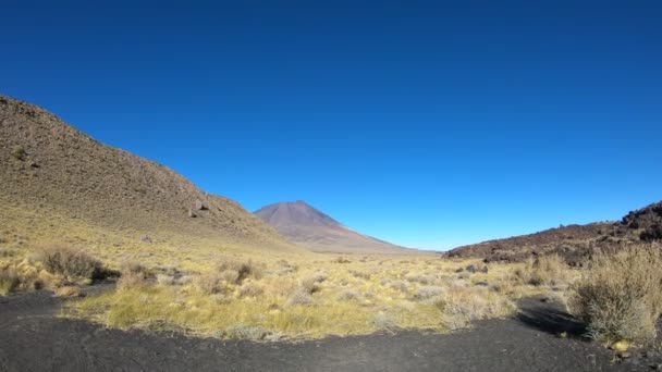 安定したカメラの動きは 横向きになるラ Payunia 国立公園で Malarge にクヨ アルゼンチンのメンドーサ Payun Liso 火山背景と右の溶岩の道 — ストック動画
