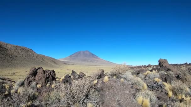 稳定的相机运动在 Payunia 国家公园 Malarge Cuyo 门多萨 阿根廷的前进 Payun Liso 火山的背景和痕迹熔岩 — 图库视频影像