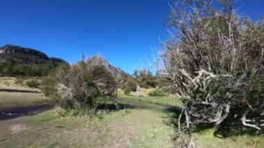 Bebek yürüme düşünce bitkiler, çalılar ve akış, bataklık alan çanta taşıyan kadınlar. Doğal peyzaj. Lanin Milli Parkı. Paimun Gölü'nün çevresi. Neuquen, Patagonia, Arjantin