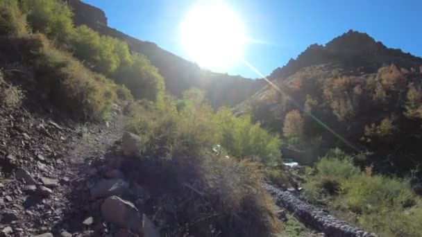 Fragua 瀑布和河在曼扎诺 Amargo 内乌肯省 巴塔哥尼亚阿根廷 走过小路 秋天场面 岩石地层中的水脱落 — 图库视频影像