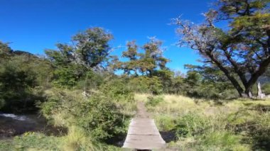 Yol boyunca ağaçlar arasında taşıma, ot ve çalılar, ahşap kapısı üzerinde akışı Köprüsü. Nothofagus woods. Dağlar, Piedra mala arka plan. Lanin Milli Parkı. Patagonya