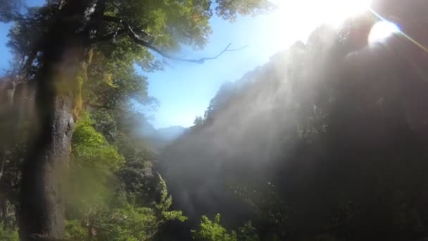 Partículas Agua Cascada Lente Movimiento Arrasa Escena Antecedentes Montañas Bosques — Vídeos de Stock