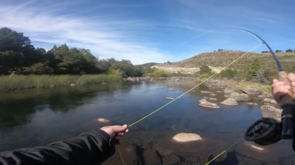 First Person Scene Man Flyfishing Casting Pulmari River Neuquen Patagonia — Stock Video