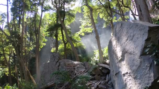 Λεπτομέρεια Water Vapor Saltillo Καταρράκτη Και Περίχωρά Της Από Ξύλα — Αρχείο Βίντεο