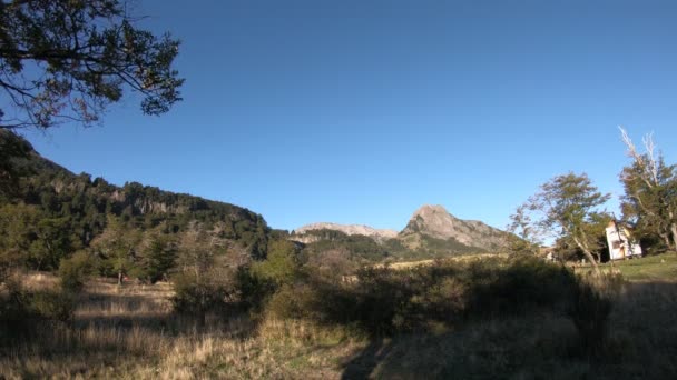 Zeitraffer Von Goldenem Grasland Und Hintergrund Von Wald Und Felsigen — Stockvideo