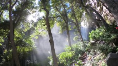 El Saltillo şelale. Kamera kalır, hala su Şelalesi süre ve su buharı yükselir. Arka ışık ve flare ağaçlar arasında. Lanin Milli Parkı. Paimun Gölü'nün çevresi. Patagonya