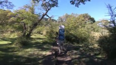 Kadın taşıma bebek sırtına bir çanta ot ve çalılar Lanin Milli Parkı'nda arasında yolunu tarafından yürür. El Saltillo şelale gidecek. Paimun göl ve dağ arka plan. Neuquen, Patagonya