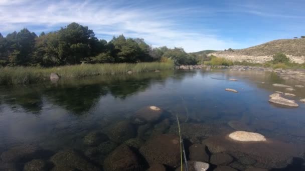 Πρώτου Προσώπου Σκηνή Του Ανθρώπου Flyfishing Χυσιμο Στο Pulmari Ποταμού — Αρχείο Βίντεο