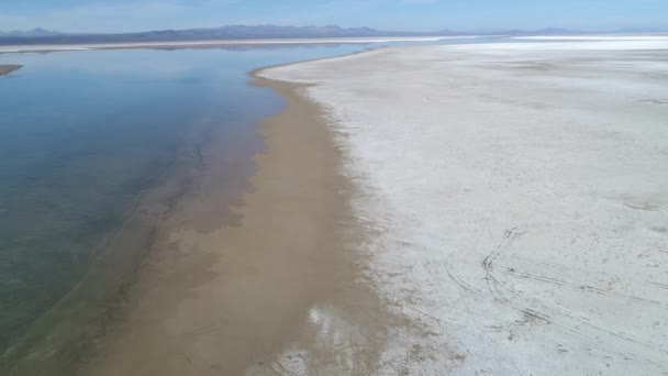 Drone Антена Сцени Llancanelo Лагуни Malargue Аргентині Вода Відображенням Білі — стокове відео