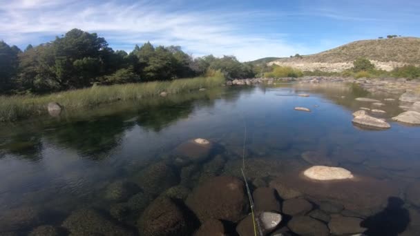 人的第一人场面 Flyfishing 铸造在 Pulmari 在内乌肯省 巴塔哥尼亚阿根廷在一个晴朗和刮风的天 满是大圆形岩石的河流 — 图库视频影像