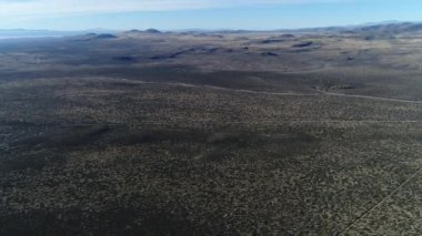 Otlaklar bozkır manzarada La Payunia Milli Parkı, Malargue, Mendoza Cuyo, Arjantin hava dron sahne. Kamera hareket iletir. Volkanlar arka plan üzerinde.