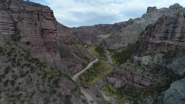 라파엘 아르헨티나 Atuel 협곡의 비행기 카메라 새로운 합니다 나무와 강입니다 — 비디오