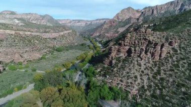 Atuel river canyon San Rafael, Mendoza Cuyo Arjantin hava dron sahne. Kamera hareket iletir. Willows ağaçlar ve Nehri yanındaki sokak. Derma kayalar.
