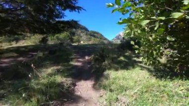 Otlar ve ağaçlar arasında artan yol boyunca hareket. Çevresi Nothofagus woods ve otlaklar. Piedra Mala dağ manzaralı sahne biter. Lanin Milli Parkı. Patagonya