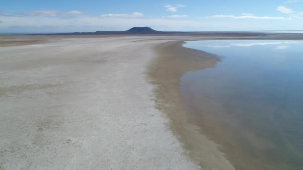 Aerial Drone Scene Llancanelo Lagoon Malargue Mendoza Argentina Water Reflection — Stock Video