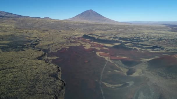 在阿根廷门多萨 Malargue Payunia 国家公园空中无人机现场 Negras 有黑色的 来自火山的红色地面岩石 金色的草 Payun Liso — 图库视频影像
