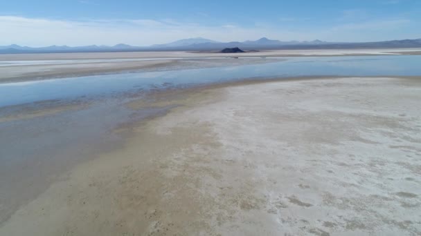 Malargue 门多萨 阿根廷 水与反射和白色干咸岸边地面 相机向火山移动 Payunia Nevado — 图库视频影像