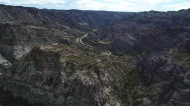 Atuel river canyon San Rafael, Mendoza Cuyo Arjantin hava dron sahne. Yukarı doğru hareket kamera. Caddesi willows ağaçlar ve Nehri yanındaki çakıl. Derma kayalar.