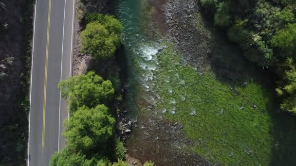 Escena Aérea Drones Vista Superior Del Río Atuel Sauces Calle — Vídeos de Stock