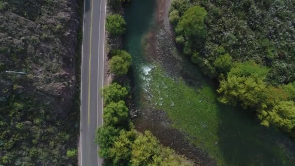 Escena Aérea Drones Vista Superior Del Río Atuel Sauces Calle — Vídeos de Stock