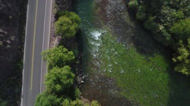 Hava dron sahne üst görüntülemek Atuel nehir, willows ve San Rafael, Mendoza Cuyo Arjantin Caddesi. Kameranızın yukarı doğru. Yeşil algler kayalar ve su akıyor. Derma kayalar.