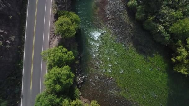 Aerial Drone Scene Top View Atuel River Willows Street San — Stock Video