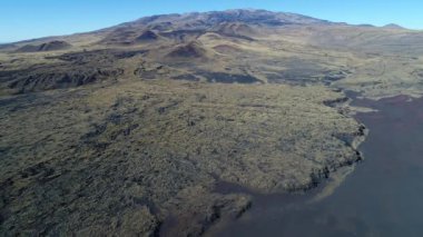 Hava dron sahne olan La Payunia Milli parkta Malargue, Mendoza. Pampa Negras siyah ile kırmızı zemin volkan ve altın otlar desen kayalar. Arka plan üzerinde Payun Matru volkan. Yatak lav