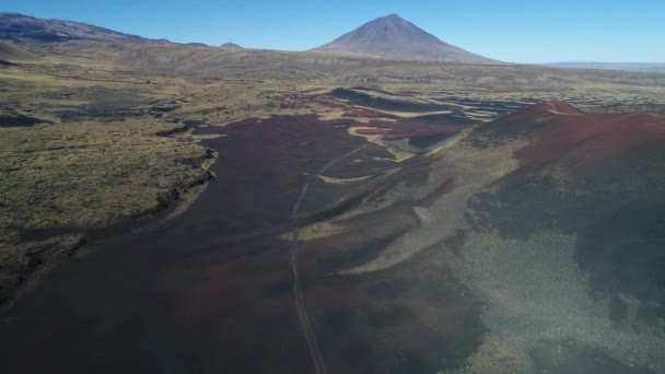 Payunia 国家公园的空中无人机场景在 Malargue 门多萨 Negras 与黑色 红色地岩石从火山和金黄草样式 Payun Liso 火山的背景 — 图库视频影像