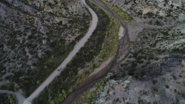 라파엘 아르헨티나 Atuel 협곡의 비행기 카메라 앞으로 새로운 나무와 강입니다 — 비디오